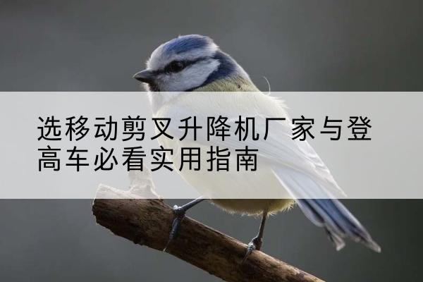 余姚电动升降机厂家-选移动剪叉升降机厂家与登高车必看实用指南