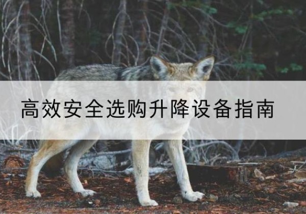 余姚升降货梯厂家推荐-*安全选购升降设备指南