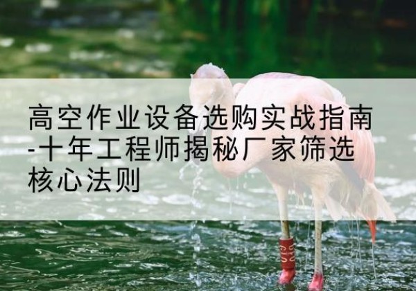 余姚剪叉式升降机厂家-高空作业设备选购实战指南-十年工程师揭秘厂家筛选核心法则